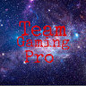 Team Gaming Pro